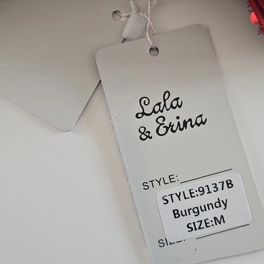 NWT Lala & Erina Tulle Layered Cinderella Dress